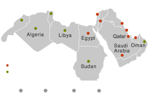 Regional Network Middle East